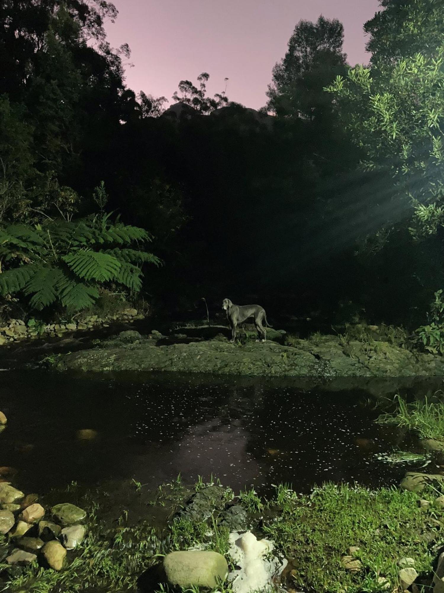 A Riverbed Guesthouse Swellendam Eksteriør bilde