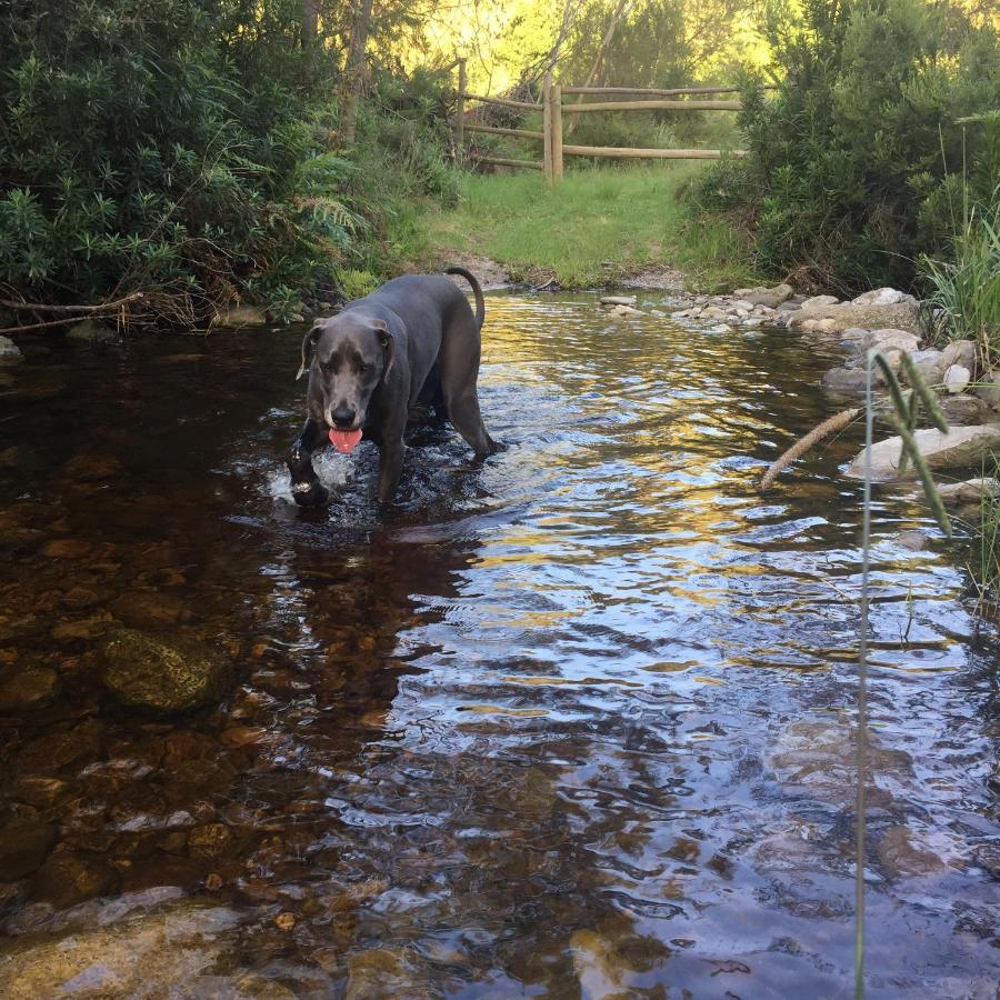A Riverbed Guesthouse Swellendam Eksteriør bilde